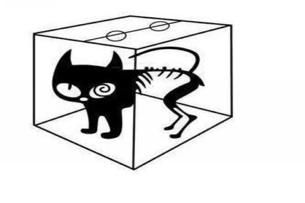 网络图片(侵删) 网络图片(侵删)