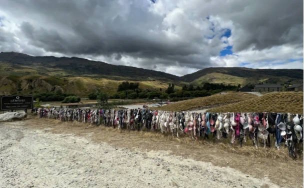 网络配图 网络配图