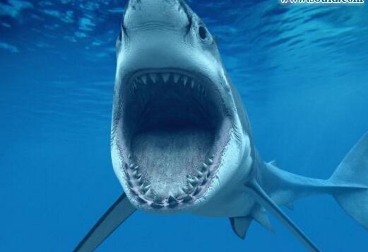 网络配图 网络配图