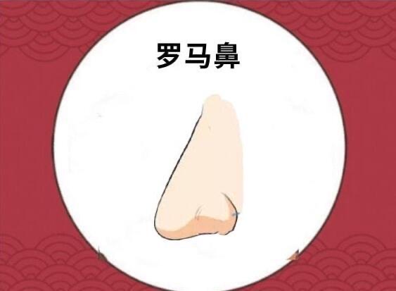 网络图片(侵删) 网络图片(侵删)