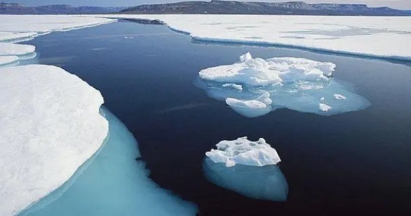 网络图片(侵删) 网络图片(侵删)