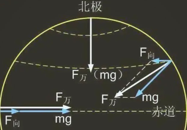 网络图片(侵删) 网络图片(侵删)