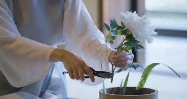 网络图片(侵删) 网络图片(侵删)