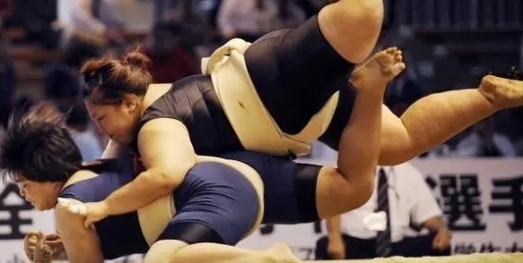 网络图片(侵删) 网络图片(侵删)