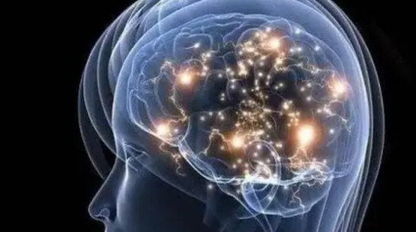 网络图片(侵删) 网络图片(侵删)