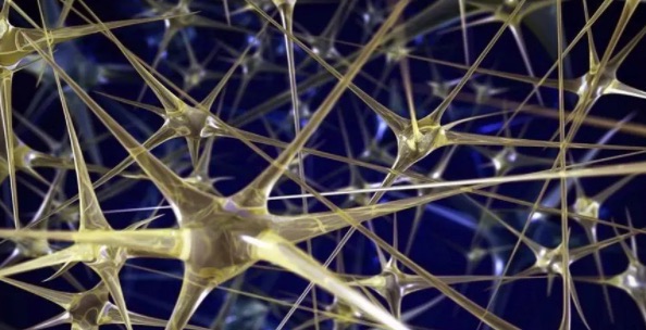 网络图片(侵删) 网络图片(侵删)