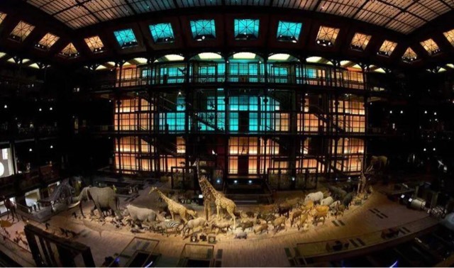 网络图片(侵删) 网络图片(侵删)