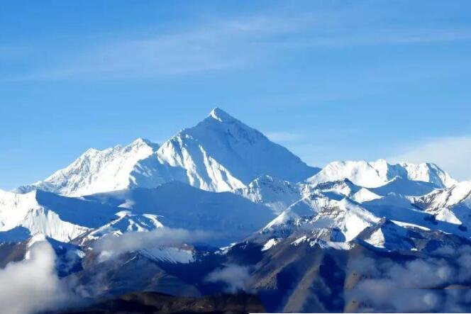 网络图片(侵删) 网络图片(侵删)