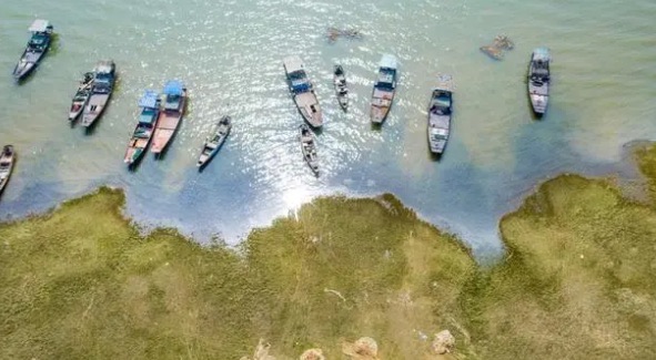 网络图片(侵删) 网络图片(侵删)