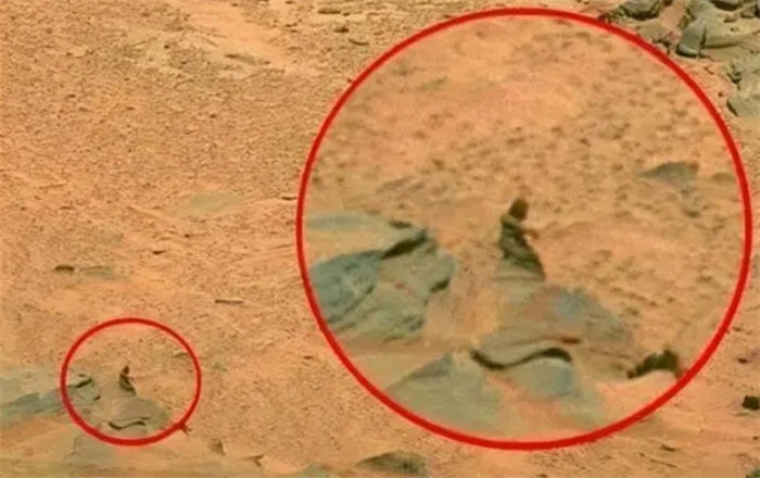 网络图片(侵删) 网络图片(侵删)