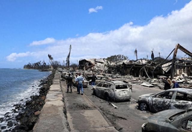 网络配图 网络配图