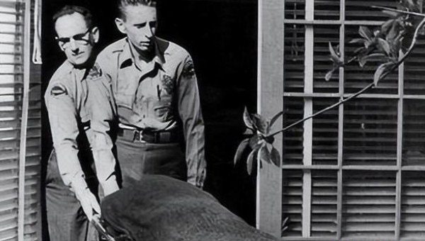 网络配图 网络配图