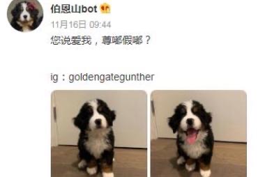 网络配图 网络配图