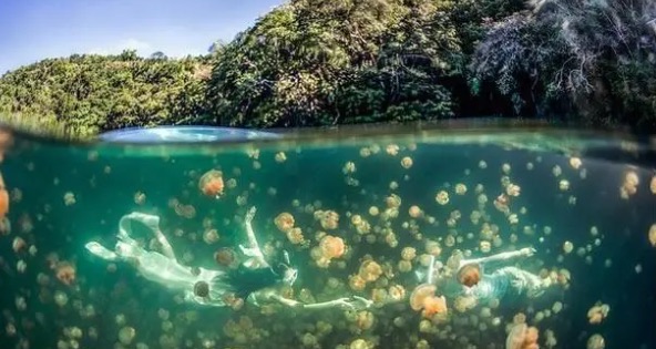 网络配图 网络配图