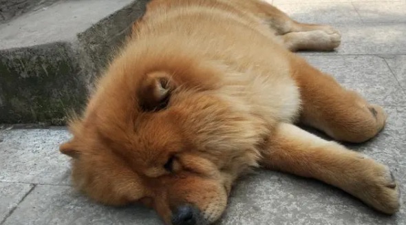 网络配图 网络配图