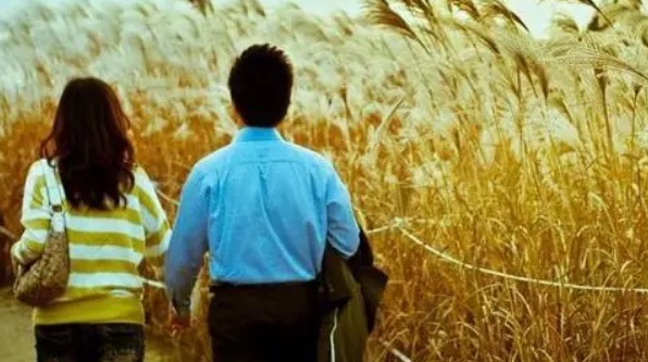 网络配图 网络配图