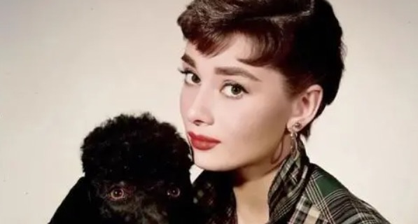 网络配图 网络配图