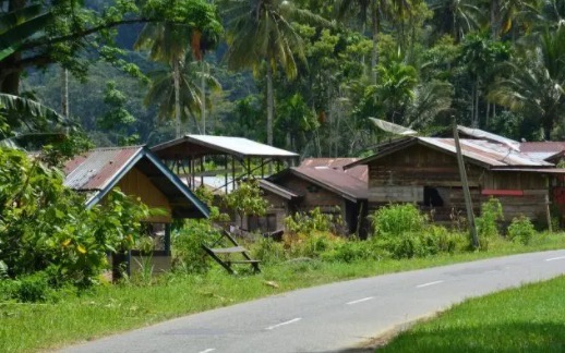 网络图片(侵删) 网络图片(侵删)