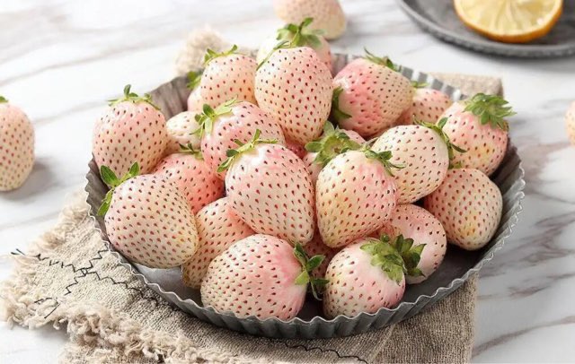 网络图片(侵删) 网络图片(侵删)