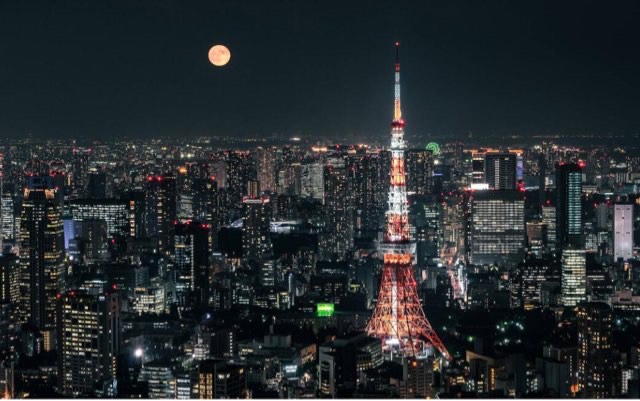 网络图片(侵删) 网络图片(侵删)