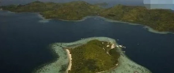 网络图片(侵删) 网络图片(侵删)