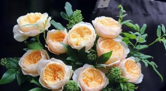 网络图片(侵删) 网络图片(侵删)