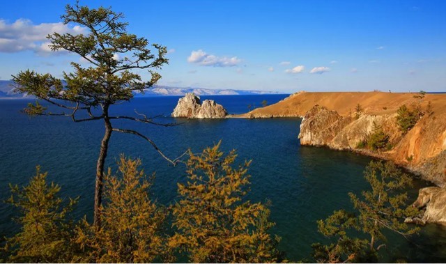 网络图片(侵删) 网络图片(侵删)