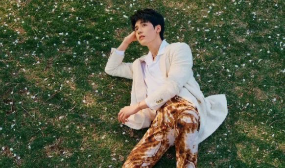 网络图片(侵删) 网络图片(侵删)