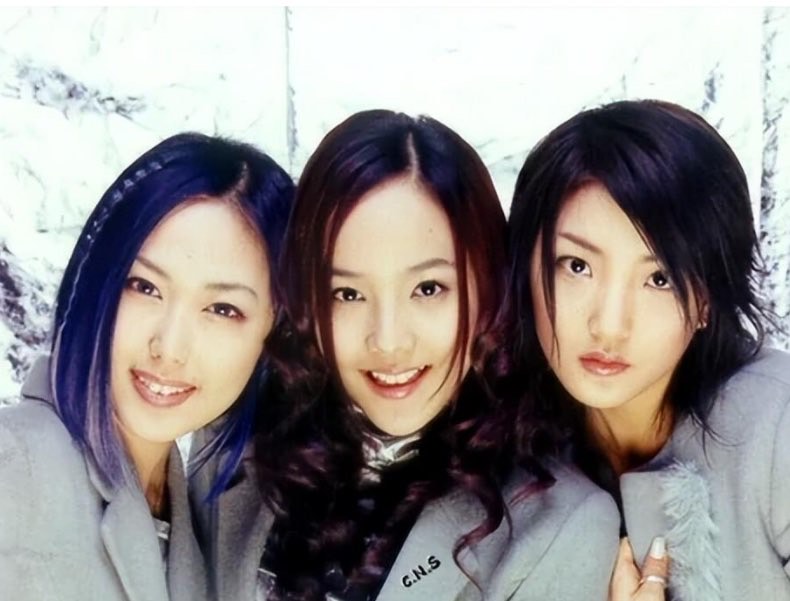 网络图片(侵删) 网络图片(侵删)