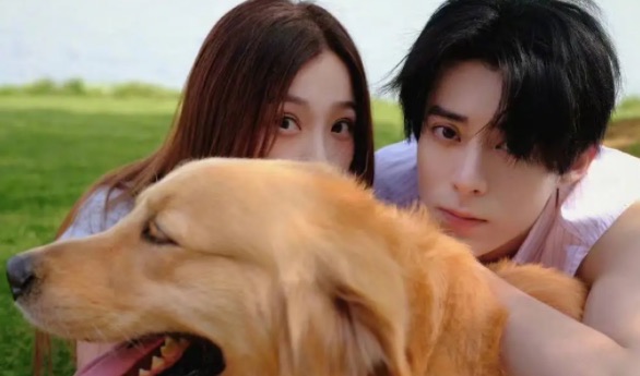 网络图片(侵删) 网络图片(侵删)