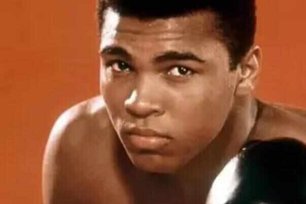 网络图片(侵删) 网络图片(侵删)