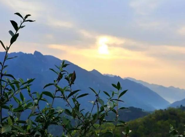 网络图片(侵删) 网络图片(侵删)