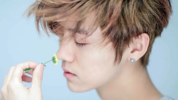 网络图片(侵删) 网络图片(侵删)