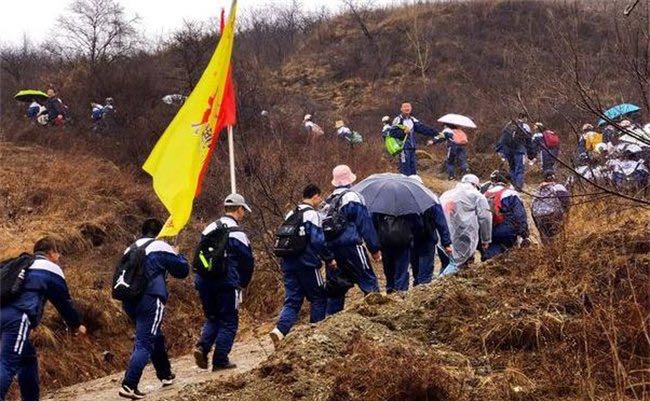 网络图片(侵删) 网络图片(侵删)