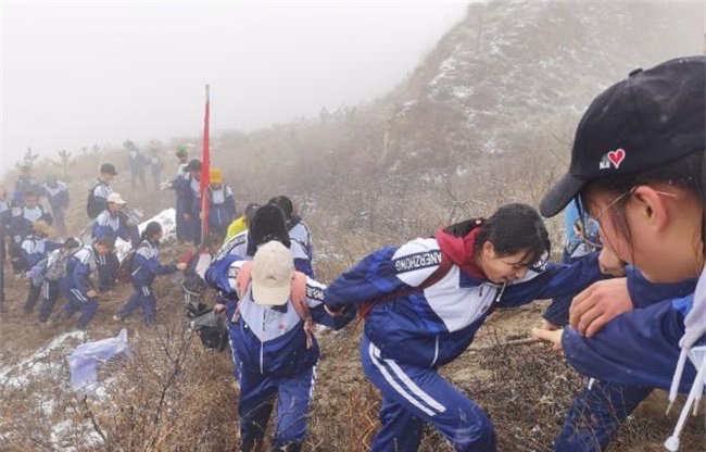 网络图片(侵删) 网络图片(侵删)