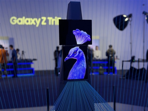 网络配图 网络配图