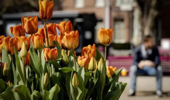 网络配图 网络配图