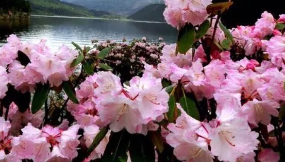 网络配图 网络配图