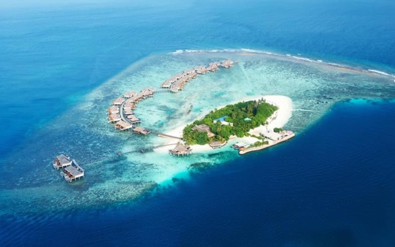 网络配图 网络配图