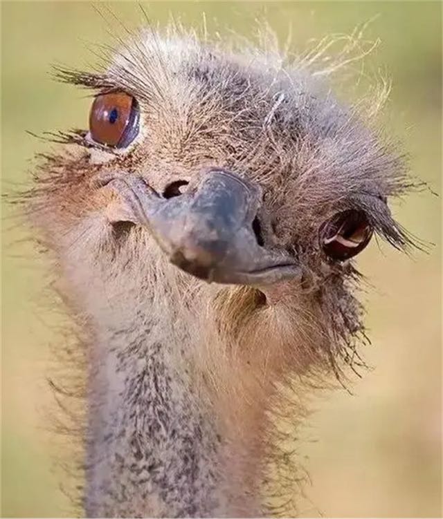 网络配图 网络配图