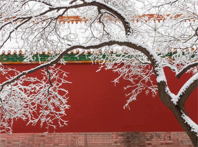 网络配图 网络配图