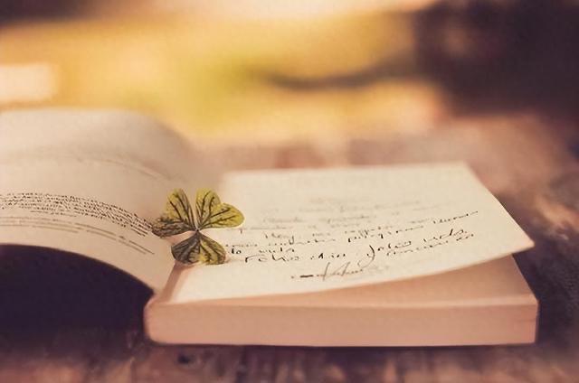 网络配图 网络配图