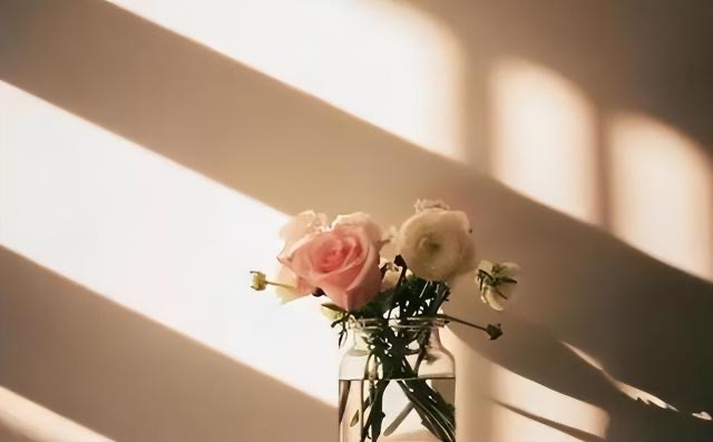 网络配图 网络配图