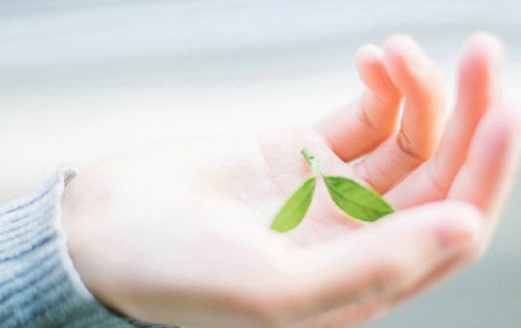 网络配图 网络配图