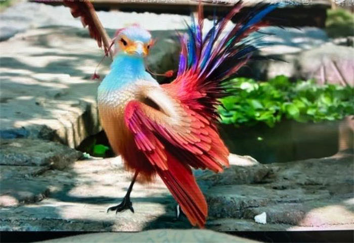 网络配图 网络配图