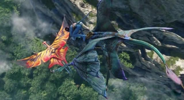 网络配图 网络配图