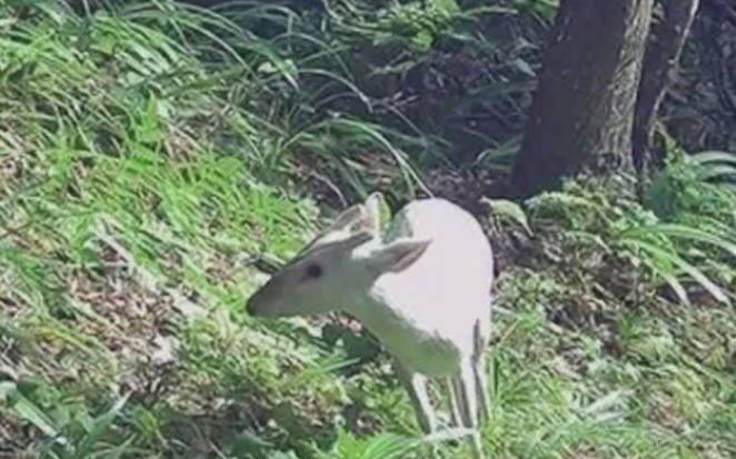 网络图片(侵删) 网络图片(侵删)