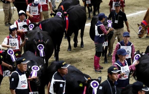 网络图片(侵删) 网络图片(侵删)
