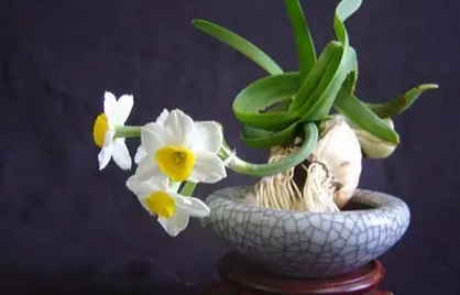 网络配图 网络配图