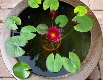 网络配图 网络配图